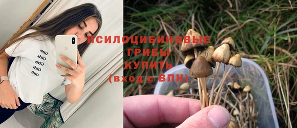 гидра Ельня