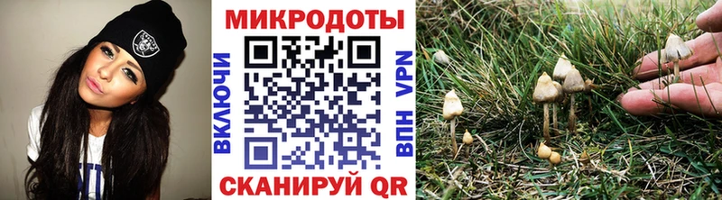 купить наркотики цена  Куса  Галлюциногенные грибы MAGIC MUSHROOMS 